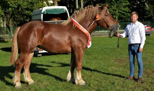 BILBAO-5f7ed1f00666f