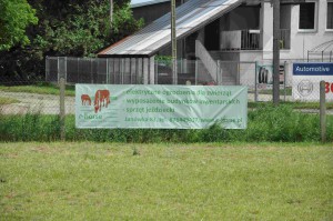 DSC_0418-5f1063e37df5c