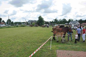 DSC_0419-5f1063e3b3f07