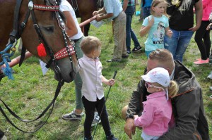 DSC_0431-5f1065770030a