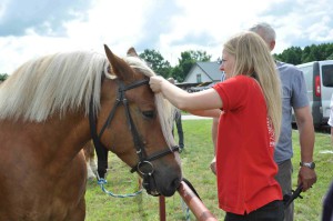 DSC_0435-5f106576ecde7