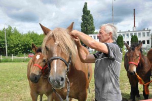 DSC_0485-5f10640abc876