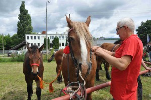 DSC_0491-5f1065616568d