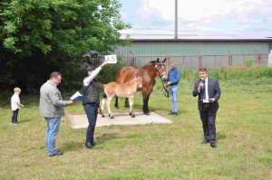 DSC_0580-5f10653aebe48