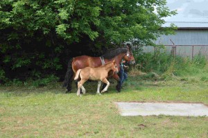 DSC_0592-5f10653bc5b6f