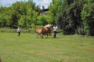 DSC_0646-5f106519b9d40