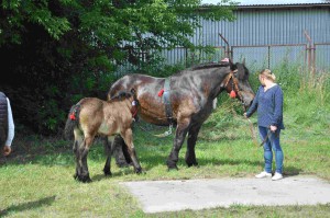 DSC_0672-5f10651cabaad