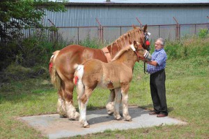 DSC_0698-5f10651c99058