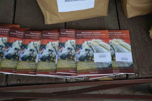 DSC_1007-5f7ed1f018216