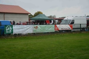 DSC_1013-5f7ed1efd56de