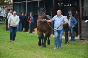 DSC_1019-5f7ed200aa16c