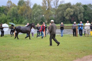 DSC_1043-59bb99f77b974