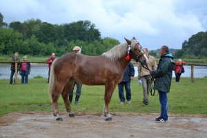 DSC_1045-59bb9ab5a40c9