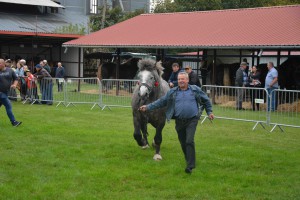 DSC_1047-5f7ed20de71b4