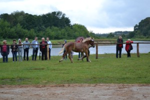 DSC_1048-59bb9ab4a8b00