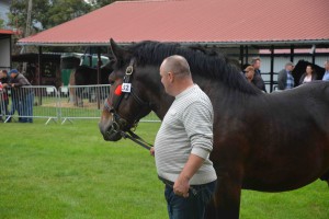 DSC_1051-5f7ed20ded05f