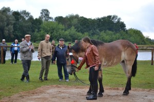 DSC_1052-59bb9ae55c1f6