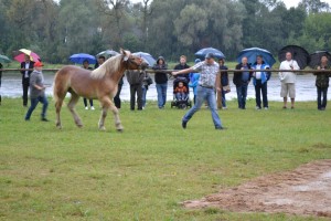 DSC_1055-59bb9b0e3b6bf