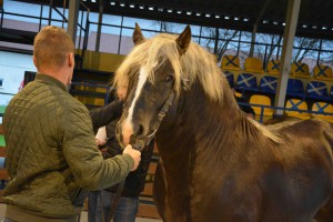 DSC_1059-5f7ed20dec8df