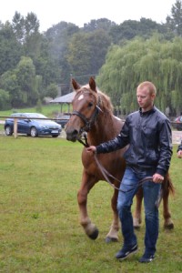 DSC_1060-59bb9b5ccdc78