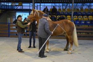 DSC_1064-5f7ed20deb10a