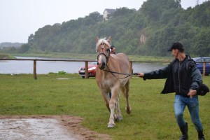 DSC_1069-59bb9b898b585