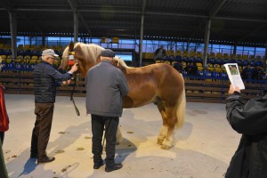 DSC_1069-5f7ed21d1b43e