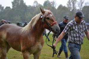 DSC_1074-59bb9bb84eed8