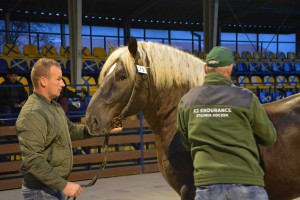 DSC_1082-5f7ed21d22aab