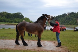 DSC_1090-59bb9c0f47868