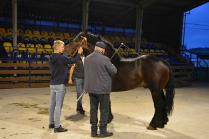 DSC_1096-5f7ed21d51bb5