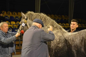 DSC_1122-5f7ed23d7179e