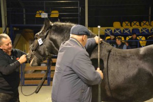 DSC_1123-5f7ed23d7b175