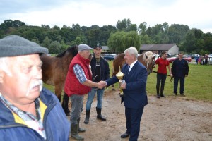 DSC_1127-59bb9d0d7d8a0