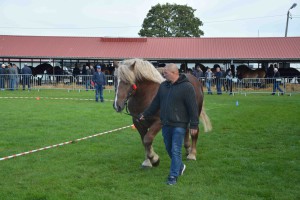 DSC_1140-5f7ed24c3ca27