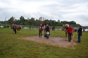 DSC_1141-59bb9d4976d64