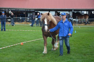 DSC_1143-5f7ed24c19b42