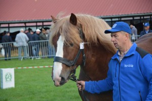 DSC_1144-5f7ed25657895