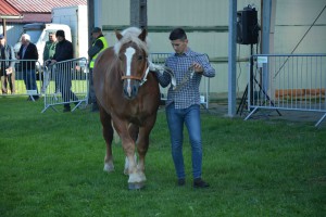 DSC_1164-5f7ed25635cd8