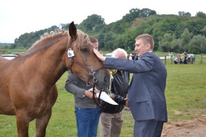 DSC_1168-59bb9e1bc11e3