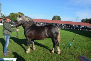 DSC_1194-5f7ed26eb5d26