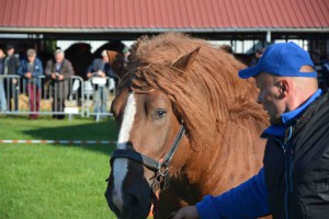 DSC_1201-5f7ed27cefecc