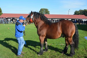 DSC_1221-5f7ed293e6ae1