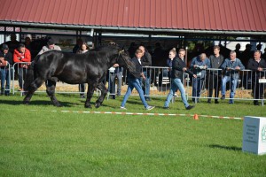 DSC_1242-5f7ed2adc6570