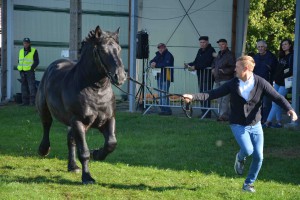 DSC_1248-5f7ed2adb4474