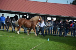 DSC_1292-5f7ed2e31106a