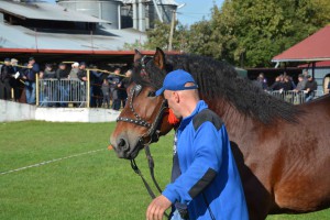 DSC_1344-5f7ed344d43cc