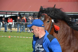 DSC_1350-5f7ed35188b4d