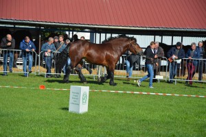 DSC_1378-5f7ed3f24646c