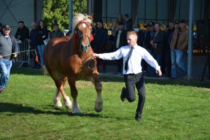 DSC_1425-5f7ed40787c88